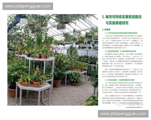 体育城市建设助力城市转型与可持续发展新路径探析